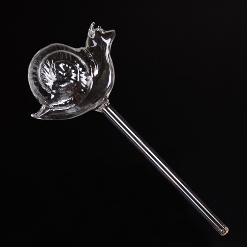 Transparent glass watering - glass,