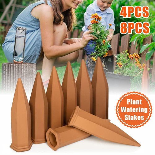 Pack terracotta plant - pack,