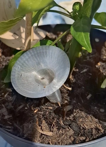 Plant watering water - 4,