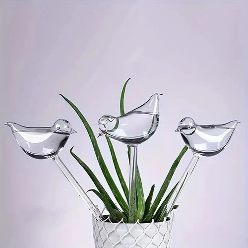 Glass bird plant - plant, waterer