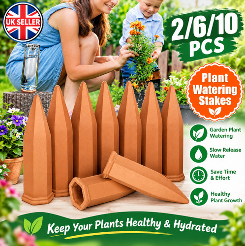 2-10Pcs-Terracotta-Plant-Water