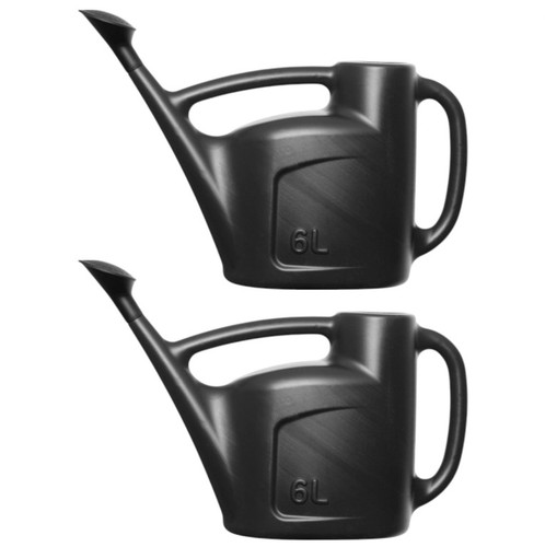 Black watering can - watering, with