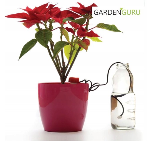 Watering system for - system,