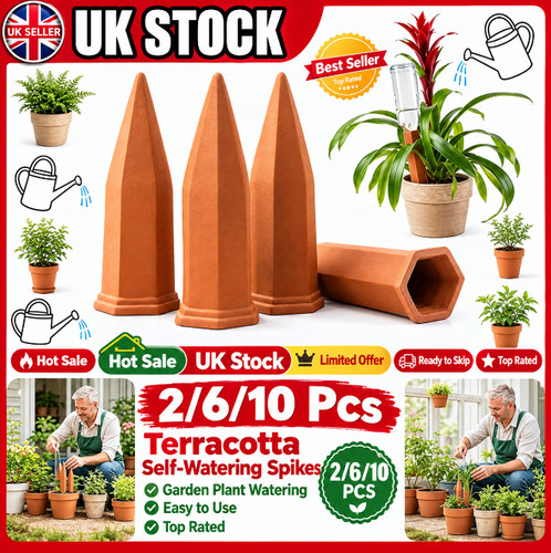 10pcs terracotta plant - terracotta,