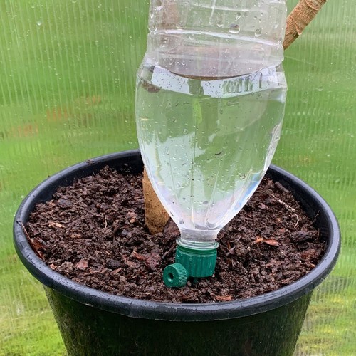 Watering spikes for plants - x,