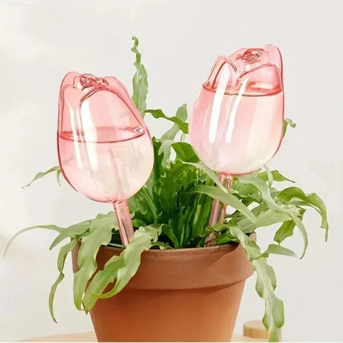Tulip plant watering globes - plant,