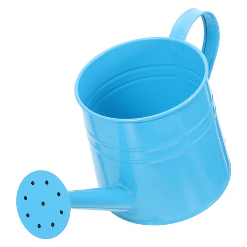 Portable iron watering can - portable,